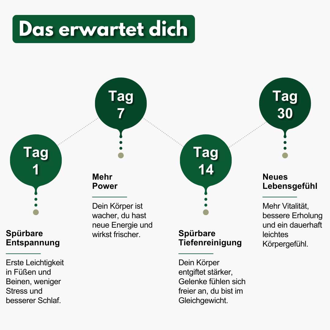 Balnevo Detox Fußbad – Innenansicht | Schuh Galaxy
