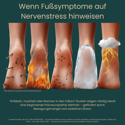 AkuraStepp Einlegesohlen | weich & stützend